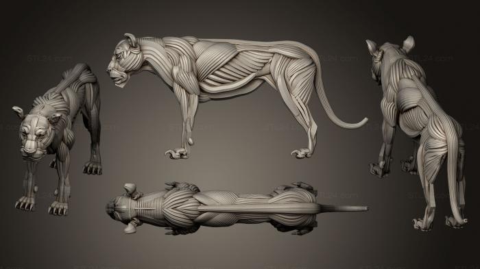 Статуэтки львы тигры сфинксы (Лев экорш, STKL_0221) 3D модель для ЧПУ станка